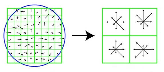 This is an example image